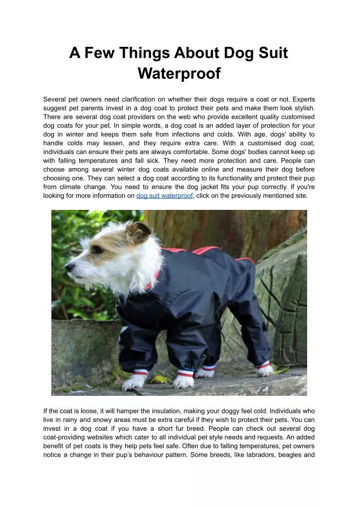 a few things about dog suit waterproof