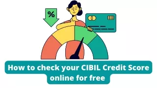 How to Check Your CIBIL Credit Score Online for Free