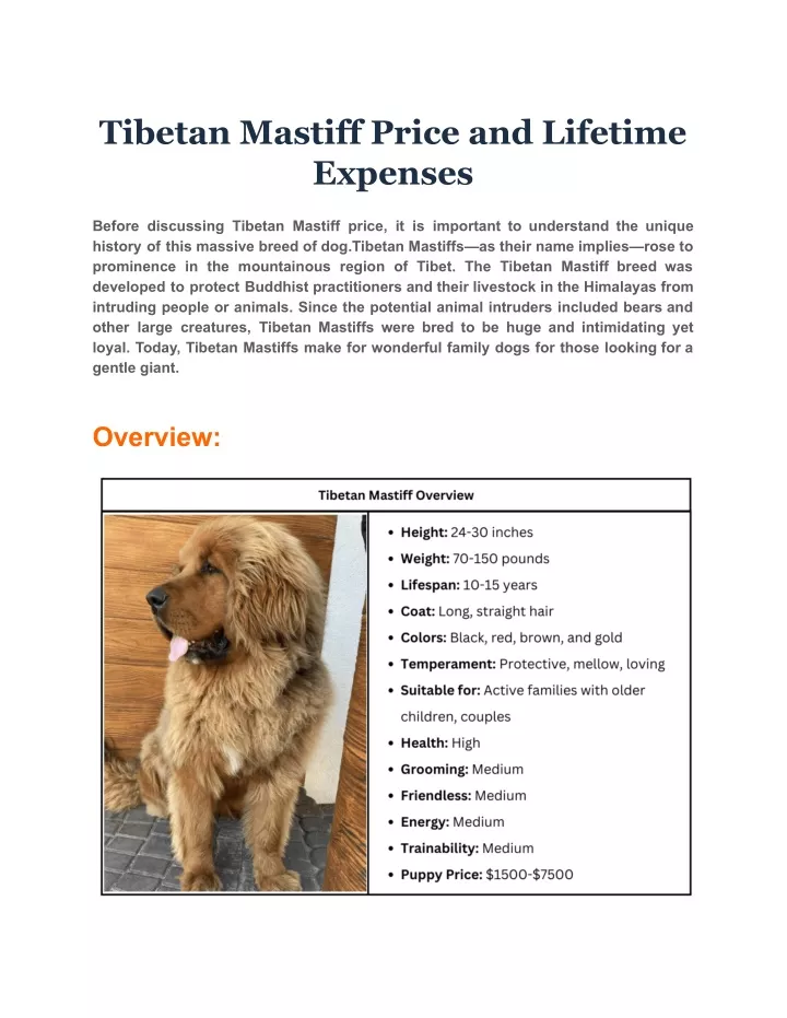 tibetan mastiff price and lifetime expenses