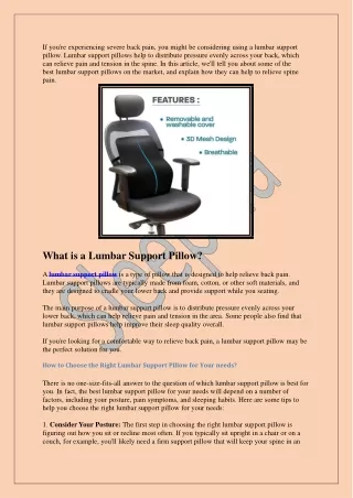 Black Lumbar Pillow for Back and Spine