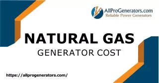 NATURAL GAS GENERATOR COST