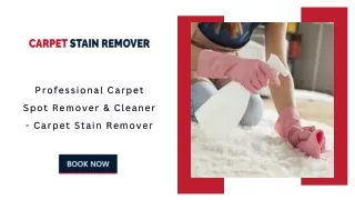 Professional Carpet Spot Remover & Cleaner - Carpet Stain Remover