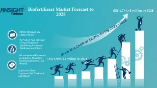 Biofertilizers Market Size, Status and Forecast 2028