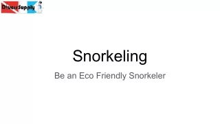 Snorkeling Equipment