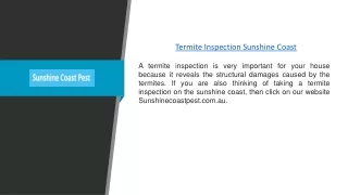 Termite Inspection Sunshine Coast | Sunshinecoastpest.com.au