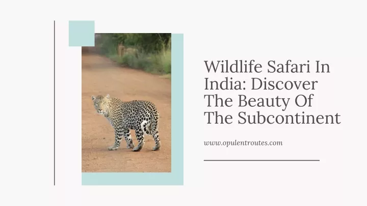 wildlife safari in india discover the beauty