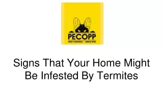 Signs That Your Home Might Be Infested By Termites