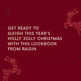 Christmas Lookbook from Raisin