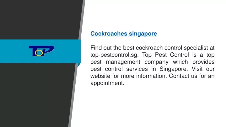 cockroaches singapore find out the best cockroach