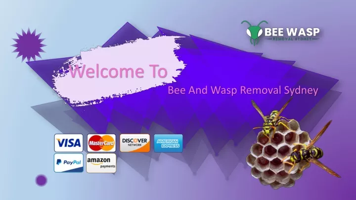 welcome to bee and wasp removal sydney
