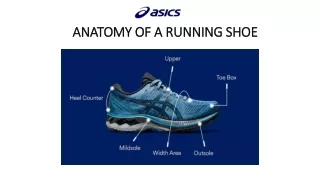 anatomy of a running shoe