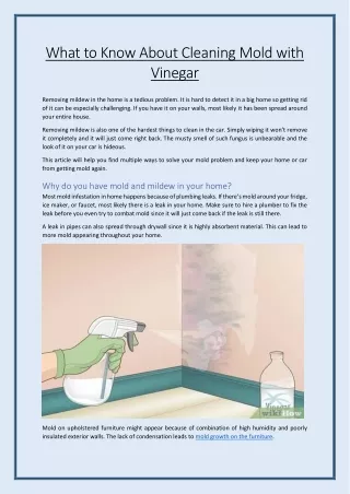 What to Know About Cleaning Mold with Vinegar