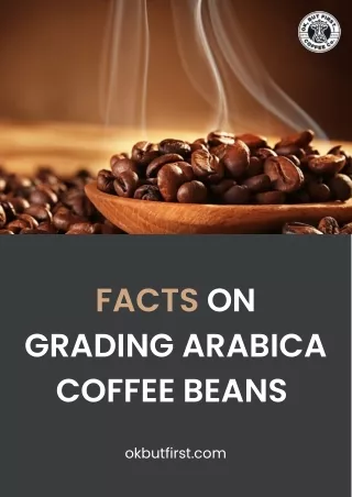 Everything You Need To Know About Arabica Coffee Beans