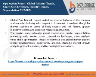 pipe market report global industry trends share