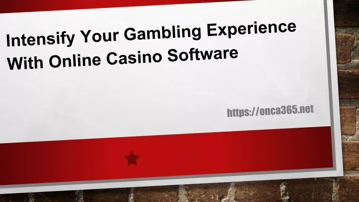 intensify your gambling experience with online casino software