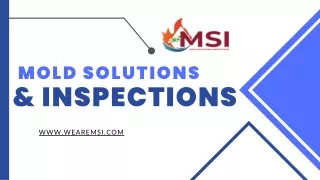 mold solutions inspections