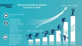 Microencapsulation Market