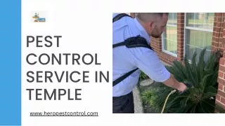 pest control service in temple