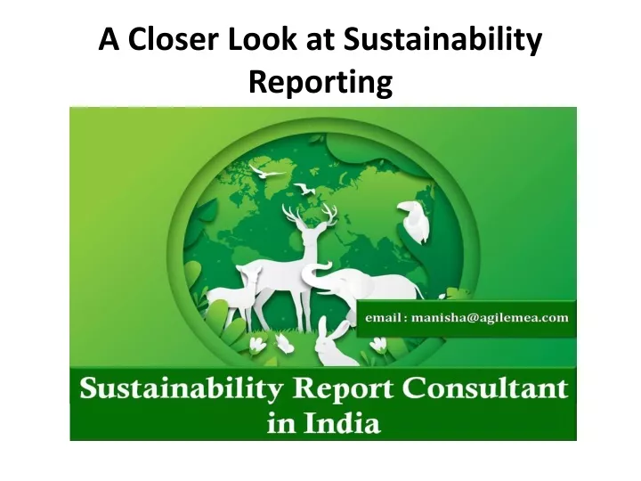 a closer look at sustainability reporting