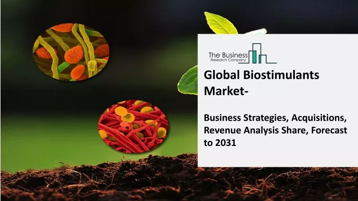 PPT - Global Biostimulants Market Outlook Through 2023-2032 PowerPoint ...