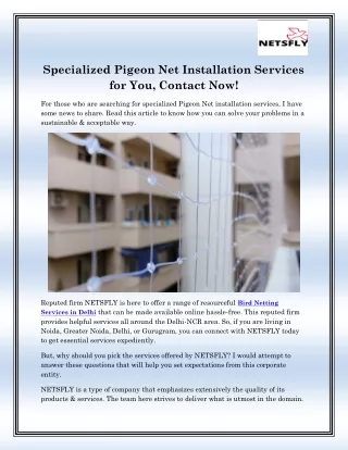 specialized pigeon net installation services