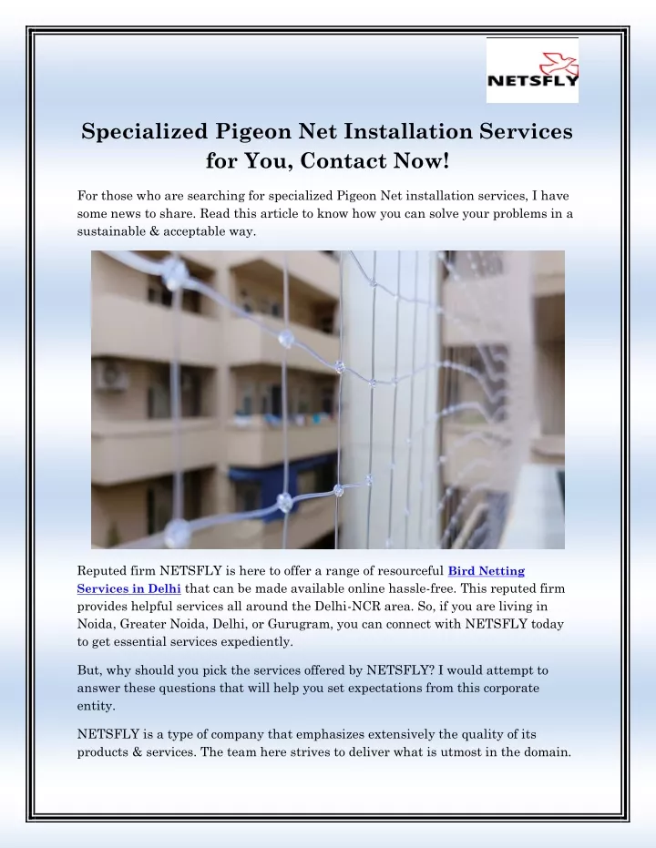 specialized pigeon net installation services