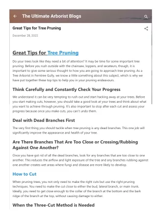philarborist-blogspot-com-2022-12-great-tips-for-tree-pruning-html