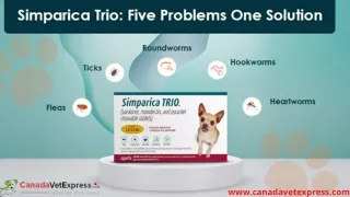 Simparica Trio for Dogs: Five Problems One Solution