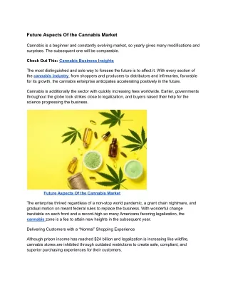 Future Aspects Of the Cannabis Market