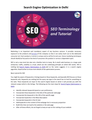 search engine optimization in delhi