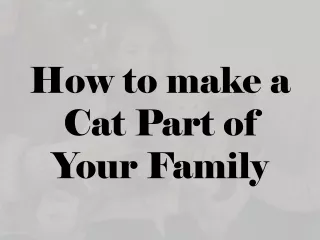 How to Make a Cat Part of Your Family