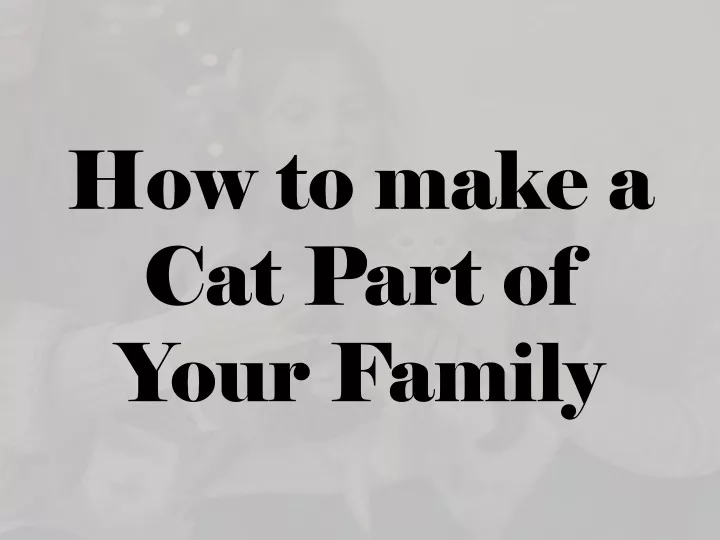 how to m ake a cat p art of your f amily