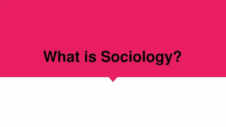 what is sociology