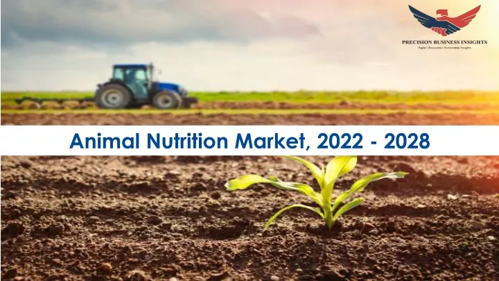 animal nutrition market 2022 2028