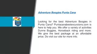 Adventure Boogies Punta Cana Puntacanabestexcursions.com