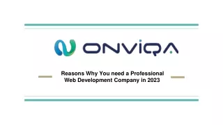 Reasons Why You need a Professional  Web Development Company in 2023