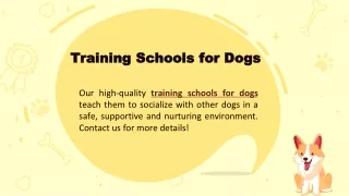 Training Schools for Dogs