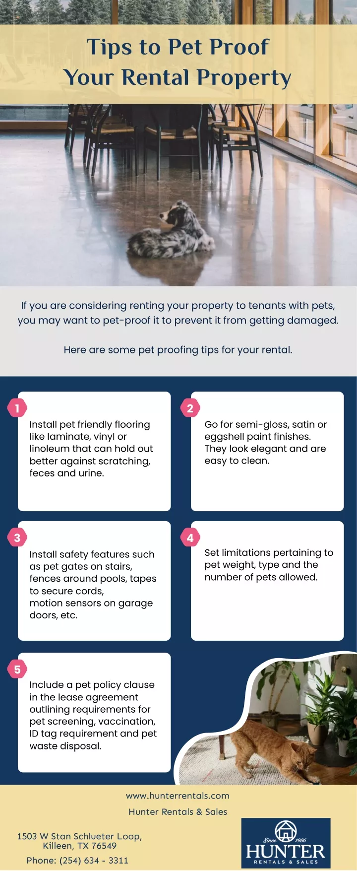 tips to pet proof your rental property