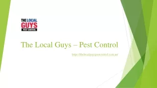 Termite Treatment Adelaide | Thelocalguyspestcontrol.com.au