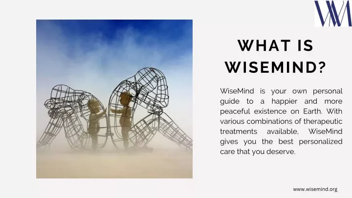 what is wisemind