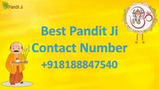 Best pandit ji contact number