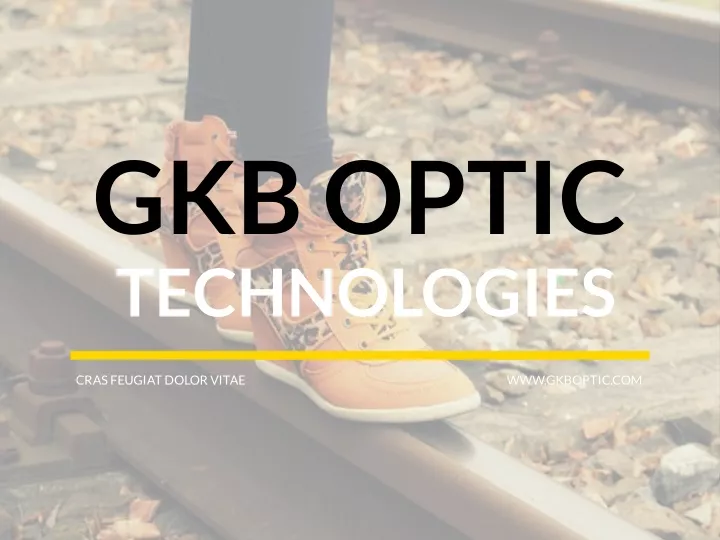 gkb optic technologies