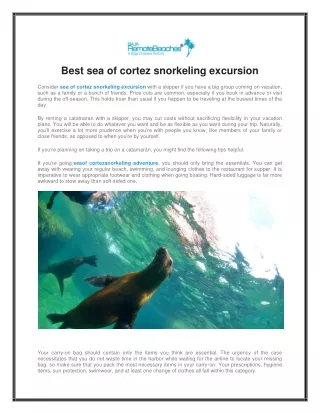 Best sea of cortez snorkeling excursion