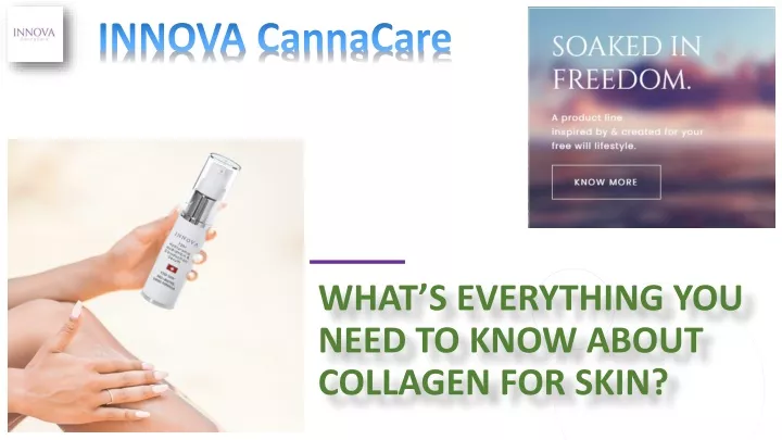 what s everything you need to know about collagen