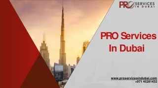 Pro Services in Dubai