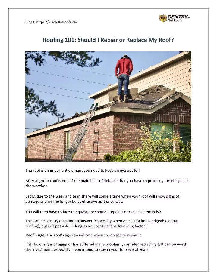 blog1 https www flatroofs ca roofing 101 should