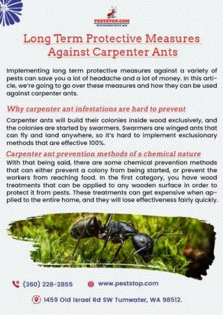 Centralia Pest Control | Lakewood Pest Control