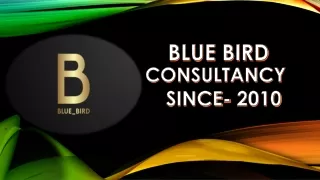BLUE BIRD CONSULTANCY
