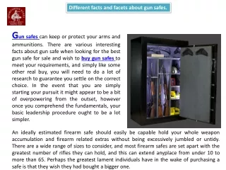 different facts and facets about gun safes