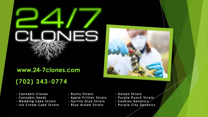 www 24 7clones com